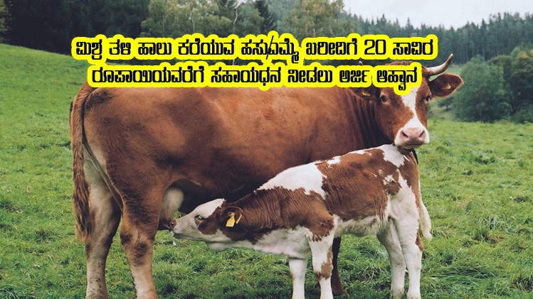 Subsidy for purchase cow