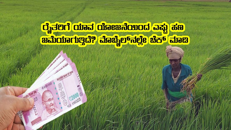 For these government schemes Farmers get money