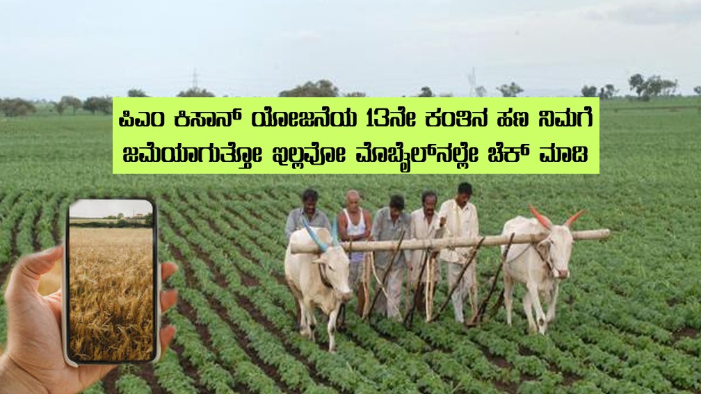 Farmer check PM Kisan
