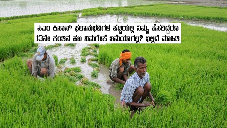 Why these farmers not get pm kisan