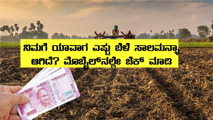 Is crop loan process completed