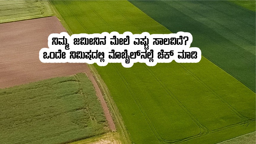 how much crop loan taken