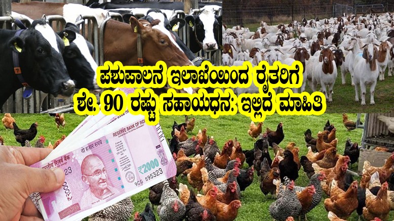 subsidy under animal husbandry department