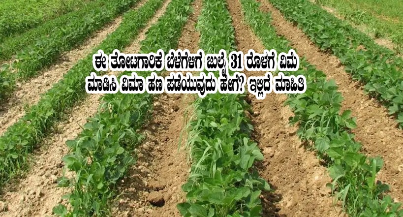 Insure these horticulture crops