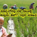 crop survey in mobile