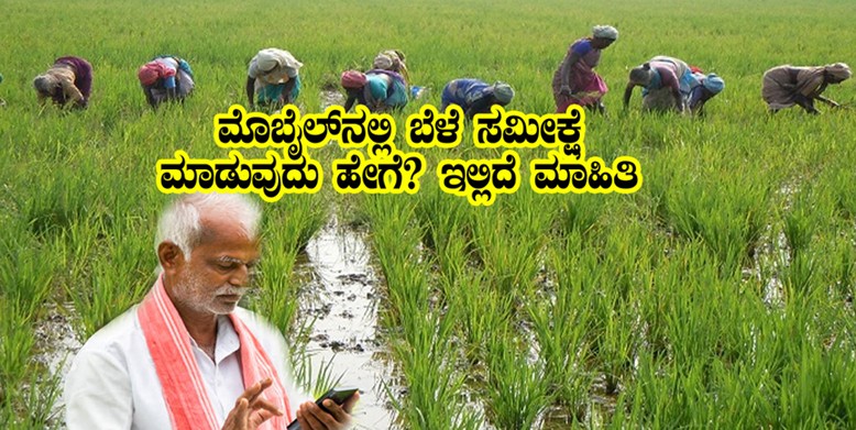 crop survey in mobile