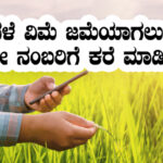 Cropinsurance toll free number