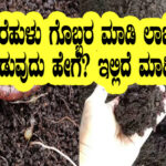 How to prepare Vermicompost