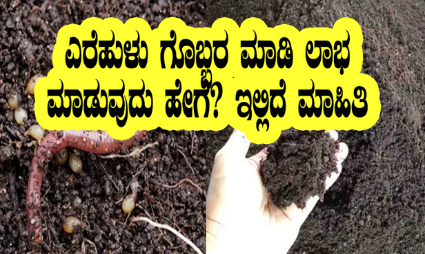 How to prepare Vermicompost