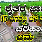 rabi crop loss