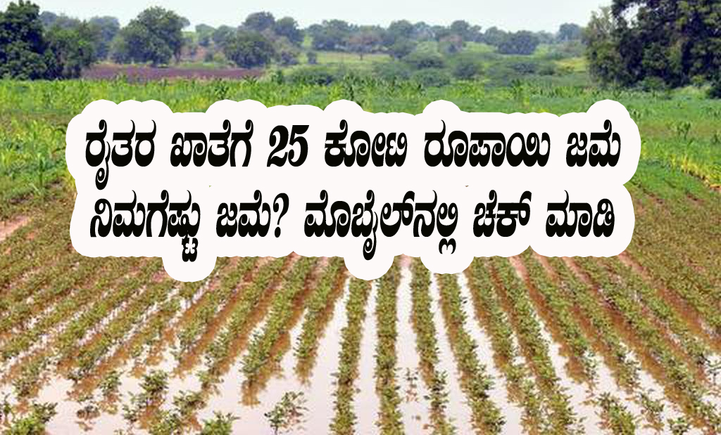 Rabi crop compensation credited