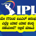 IPL starts from may 17th