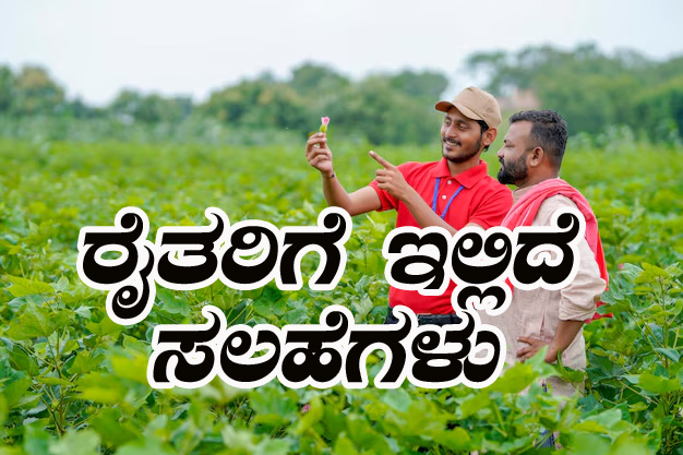 Suggestion to farmers