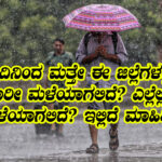 Heavy rain yellow alert announced