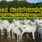 Goat purchase subsidy get