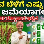 Crop insurance calculation check