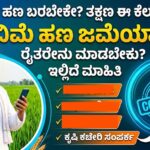 what to do for crop insurance