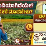Belevime Helpline number