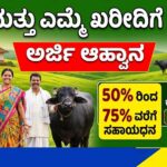 Cow baffelo purchase subsidy