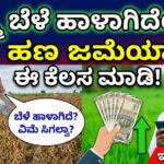 Crop insurance contact number