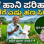 Belehani parihara estu jame
