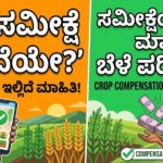 crop survey information checking