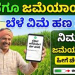Crop insurance credited