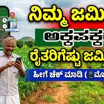 Neighbor land check now