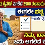 Input subsidy get now