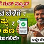 Crop insurance calculation check now
