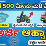 free fish bike subsidy