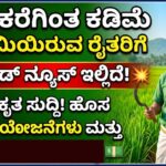 Mukyamantri Negilayogi scheme
