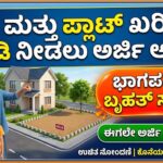 Plot House purchase subsidy